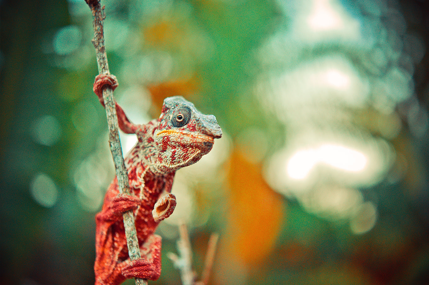 Case study: global lead generation company