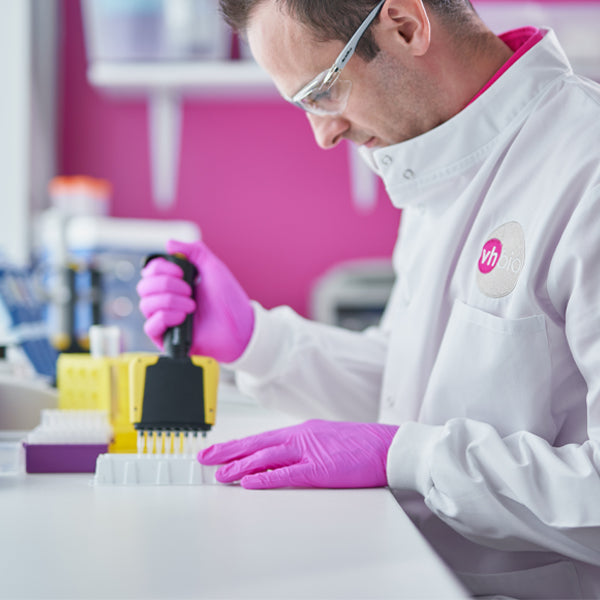 Case study: digital marketing & SEO for a lab equipment supplier